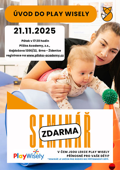 Seminář PlayWisely® 11/2025